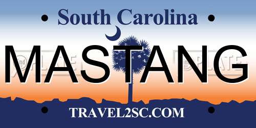 MASTANG South Carolina License Plate