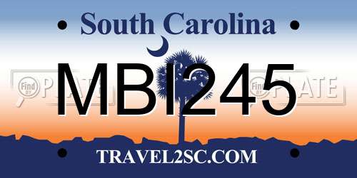 MBI245 South Carolina License Plate