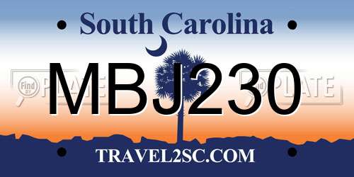 MBJ230 South Carolina License Plate