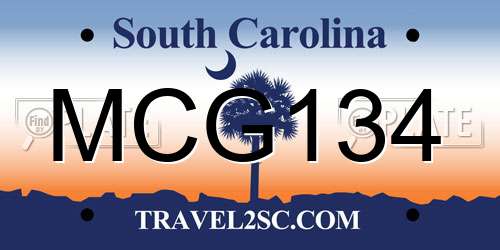 MCG134 South Carolina License Plate