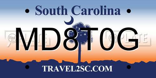 MD8T0G South Carolina License Plate