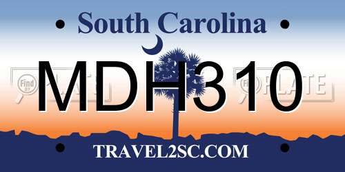 MDH310 South Carolina License Plate