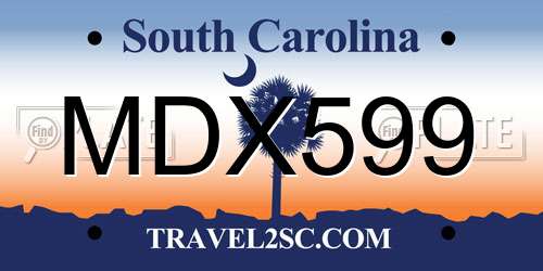 MDX599 South Carolina License Plate