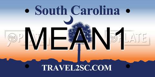 MEAN1 South Carolina License Plate