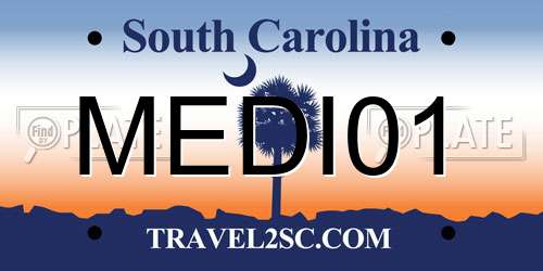 MEDI01 South Carolina License Plate