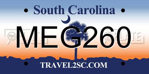 MEG260 South Carolina License Plate
