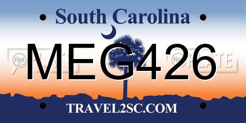 MEG426 South Carolina License Plate
