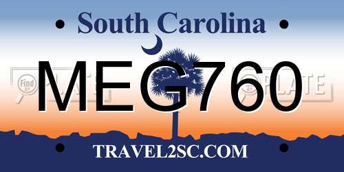 MEG760 South Carolina License Plate