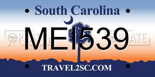 MEI539 South Carolina License Plate
