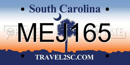 MEJ165 South Carolina License Plate