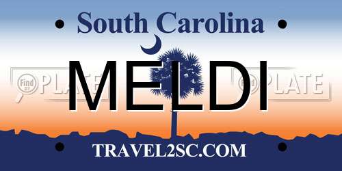 MELDI South Carolina License Plate