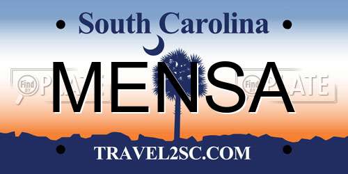 MENSA South Carolina License Plate
