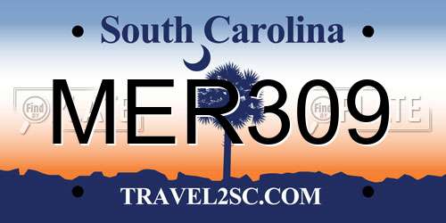 MER309 South Carolina License Plate