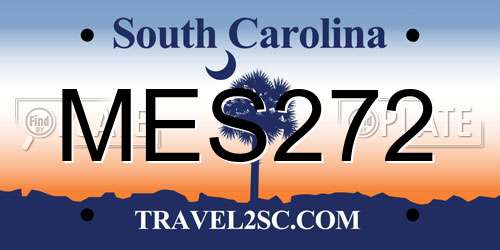 MES272 South Carolina License Plate