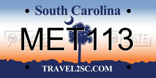 MET113 South Carolina License Plate