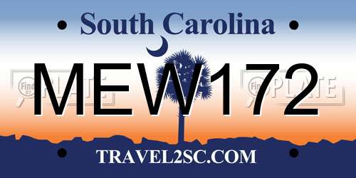 MEW172 South Carolina License Plate