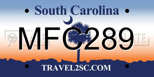 MFC289 South Carolina License Plate