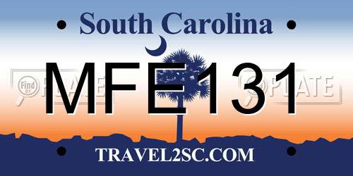 MFE131 South Carolina License Plate