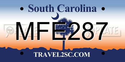 MFE287 South Carolina License Plate