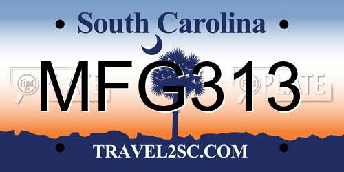 MFG313 South Carolina License Plate