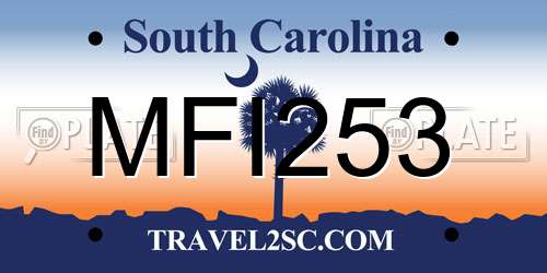 MFI253 South Carolina License Plate