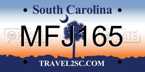 MFJ165 South Carolina License Plate