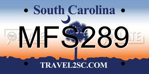 MFS289 South Carolina License Plate