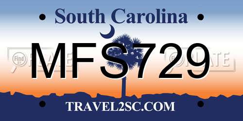 MFS729 South Carolina License Plate