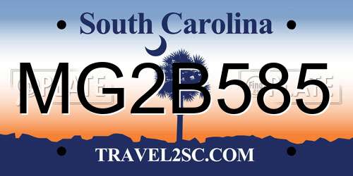 MG2B585 South Carolina License Plate
