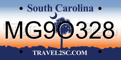 MG9O328 South Carolina License Plate