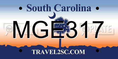 MGE317 South Carolina License Plate
