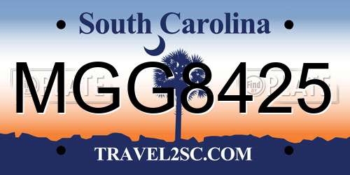 MGG8425 South Carolina License Plate