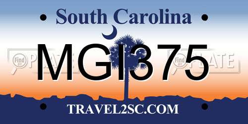 MGI375 South Carolina License Plate
