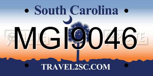 MGI9046 South Carolina License Plate