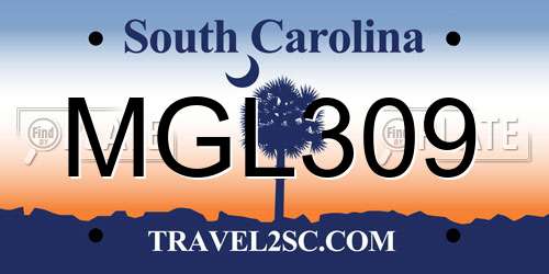 MGL309 South Carolina License Plate
