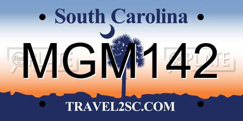 MGM142 South Carolina License Plate