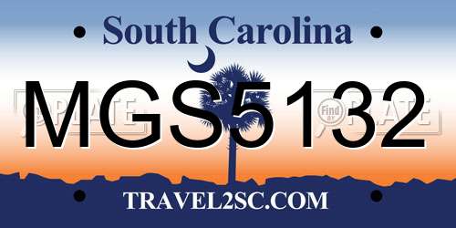 MGS5132 South Carolina License Plate