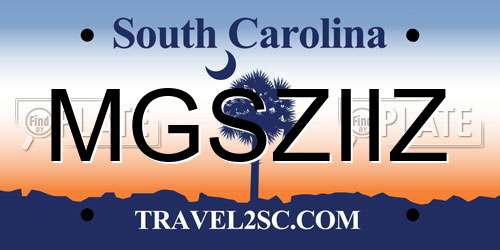 MGSZIIZ South Carolina License Plate