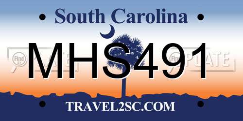 MHS491 South Carolina License Plate