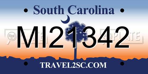 MI21342 South Carolina License Plate