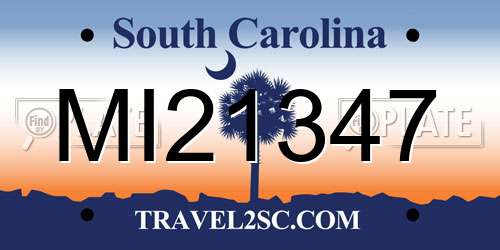 MI21347 South Carolina License Plate