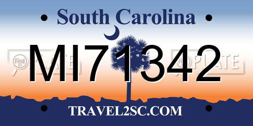 MI71342 South Carolina License Plate