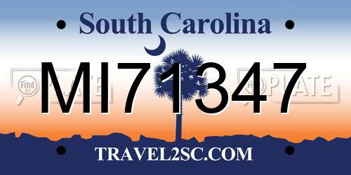MI71347 South Carolina License Plate