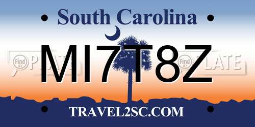 MI7T8Z South Carolina License Plate