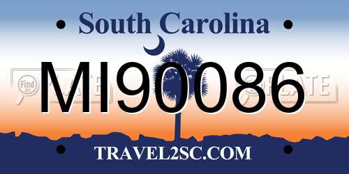 MI90086 South Carolina License Plate
