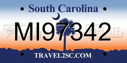 MI97342 South Carolina License Plate