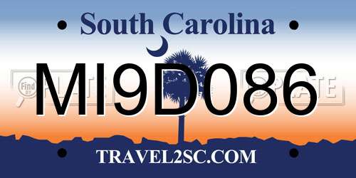 MI9D086 South Carolina License Plate