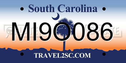 MI9O086 South Carolina License Plate