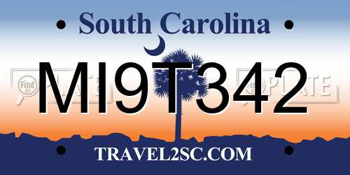 MI9T342 South Carolina License Plate