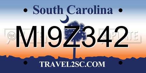 MI9Z342 South Carolina License Plate